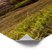 Zonneopgang op het strand in Florianopolis Poster (Hoek)