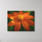 Zonneopje op Mexicaanse zonnebloempitten Canvas Afdruk (Voorkant)