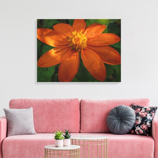 Zonneopje op Mexicaanse zonnebloempitten Canvas Afdruk (Insitu (Woonkamer))