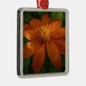 Zonneopje op Mexicaanse zonnebloempitten Metalen Ornament (Rechts)