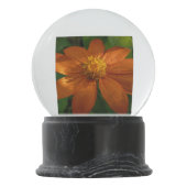 Zonneopje op Mexicaanse zonnebloempitten Sneeuwbol (Achterkant)