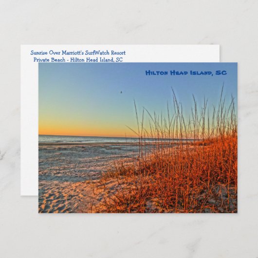 Zonneopje over het Surf! Hilton Head Island SC Briefkaart (Voorkant / Achterkant)