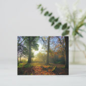 Zonneopkomst Briefkaart herfstbos (Staand voorkant)