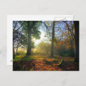 Zonneopkomst Briefkaart herfstbos (Voorkant / Achterkant)