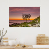 Zonneopslag in de strandbek Armação Poster (Keuken)