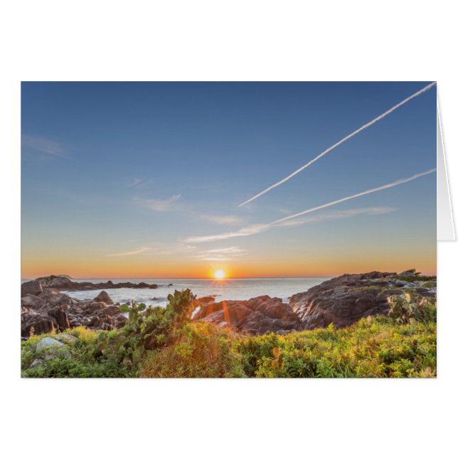 Zonneopslag op de strandloper van Armação (Voorkant Horizontaal)