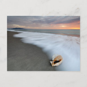Zonneopslag op het strand en op een schaal briefkaart