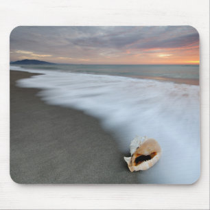 Zonneopslag op het strand en op een schaal muismat