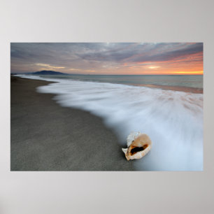 Zonneopslag op het strand en op een schaal poster