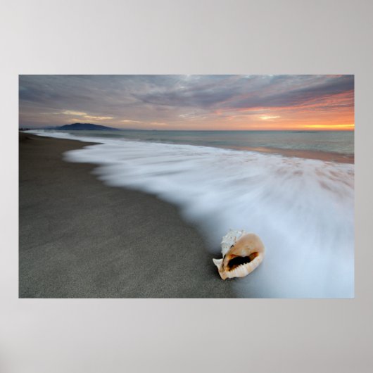 Zonneopslag op het strand en op een schaal poster (Voorkant)