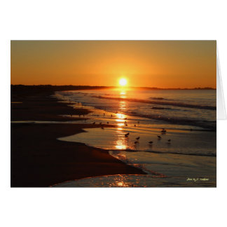 Zonneoptijd bij Horseneck Beach