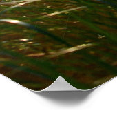 Zonneover Atlantische Oceaan Poster (Hoek)