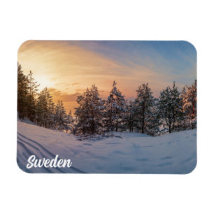 Zonneover bevroren sneeuwbos nabij magneet