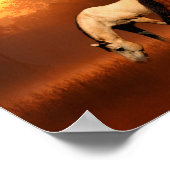 Zonnepaarden Poster (Hoek)