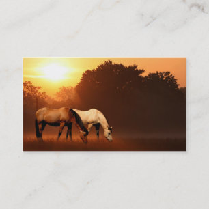 Zonnepaarden Visitekaartje
