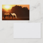 Zonnepaarden Visitekaartje (Voorkant / Achterkant)