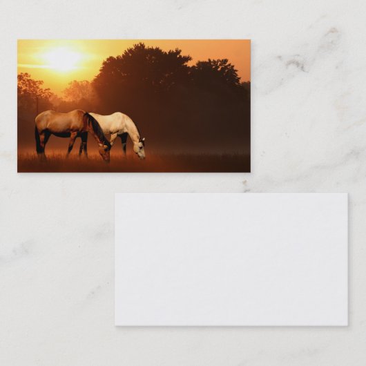 Zonnepaarden Visitekaartje (Voorkant / Achterkant)