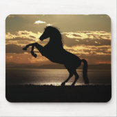 zonnepaardje muismat (Voorkant)