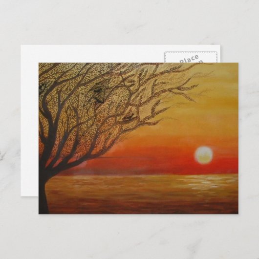 Zonnepachtdruk Briefkaart (Voorkant / Achterkant)