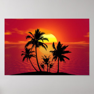 Zonnepalm Poster voor de Oostzee