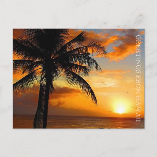 zonnepalmgroeten briefkaart (Voorkant)