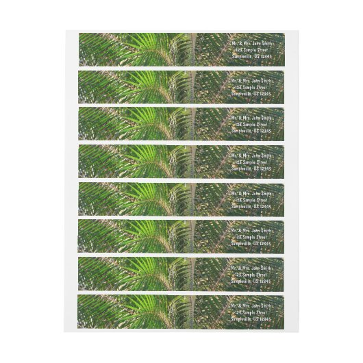 Zonnepalmhulzen Tropisch (Vel)