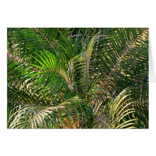 Zonnepalmhulzen Tropisch (Voorkant Horizontaal)