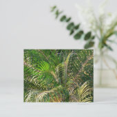 Zonnepalmhulzen Tropisch Briefkaart (Staand voorkant)