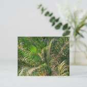 Zonnepalmhulzen Tropisch Briefkaart (Staand voorkant)