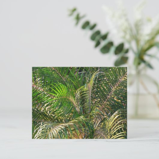 Zonnepalmhulzen Tropisch Briefkaart (Staand voorkant)