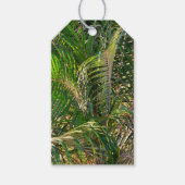 Zonnepalmhulzen Tropisch Cadeaulabel (Voorkant)