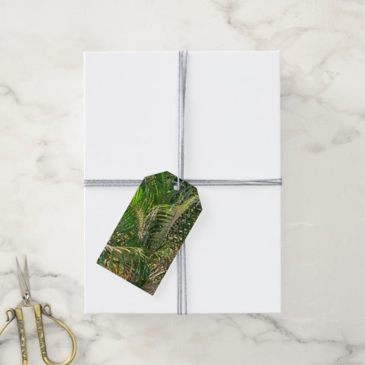Zonnepalmhulzen Tropisch Cadeaulabel (Met Touw)