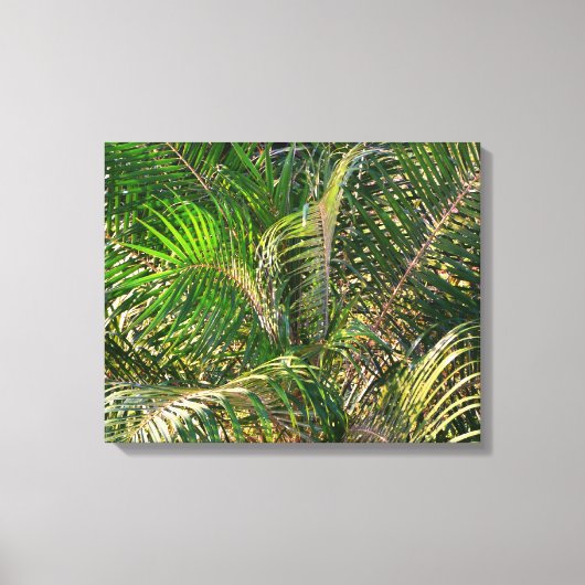 Zonnepalmhulzen Tropisch Canvas Afdruk (Voorkant)