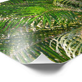 Zonnepalmhulzen Tropisch Foto Afdruk (Hoek)