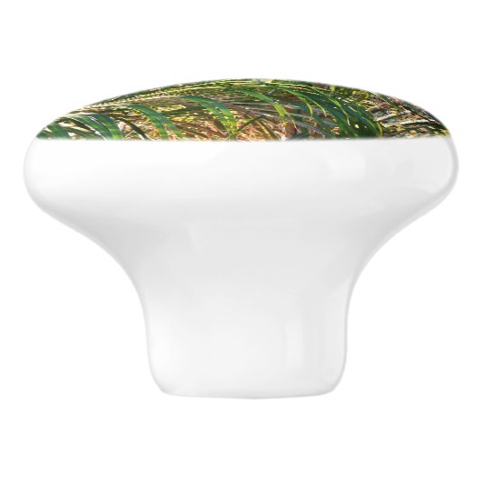 Zonnepalmhulzen Tropisch Keramische Knop (Zijkant)