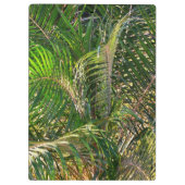 Zonnepalmhulzen Tropisch Klembord (Achterkant)