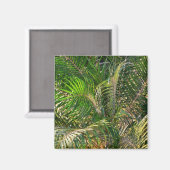 Zonnepalmhulzen Tropisch Magneet (Voorkant / Achterkant)