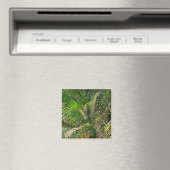 Zonnepalmhulzen Tropisch Magneet (Insitu (Vaatwasser))
