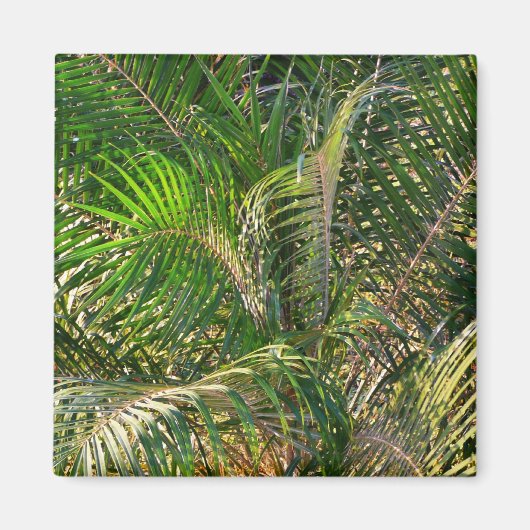 Zonnepalmhulzen Tropisch Magneet (Voorkant)