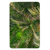 Zonnepalmhulzen Tropisch Magneet (Verticaal)