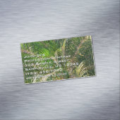 Zonnepalmhulzen Tropisch Magnetisch Visitekaartje (Voorbeeld)