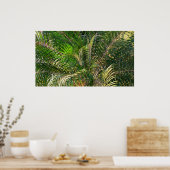 Zonnepalmhulzen Tropisch Poster (Keuken)