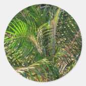 Zonnepalmhulzen Tropisch Ronde Sticker (Voorkant)