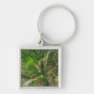 Zonnepalmhulzen Tropisch Sleutelhanger