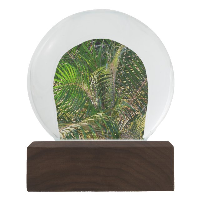 Zonnepalmhulzen Tropisch Sneeuwbol (Voorkant)