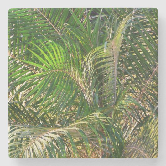 Zonnepalmhulzen Tropisch Stenen Onderzetter (Voorkant)