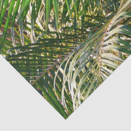 Zonnepalmhulzen Tropisch Tissuepapier (Detail)