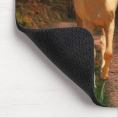 Zonnepalomino Muismat (Hoek)