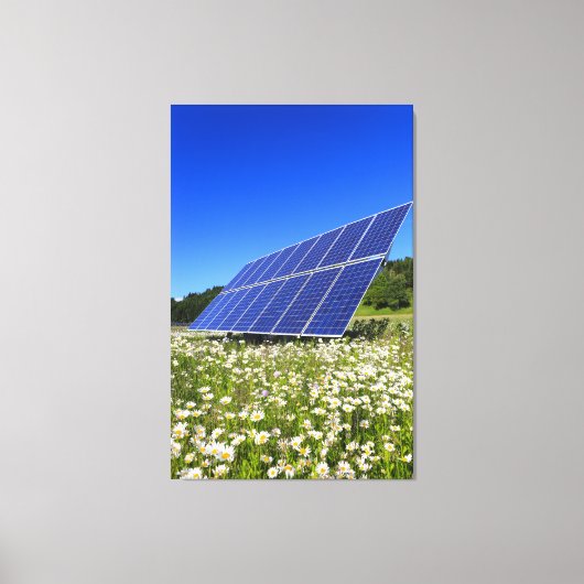 Zonnepanelen en groene weide canvas afdruk (Voorkant)