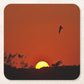 Zonnepartijdig Onderzetter (Voorkant)